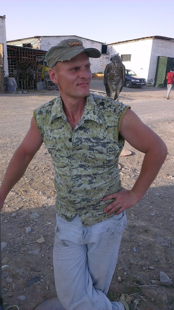  ,   , 51 ,   