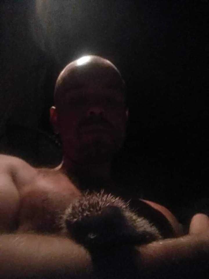 ���������� �������, ���� ������� ������, 38 ���, ������������ 