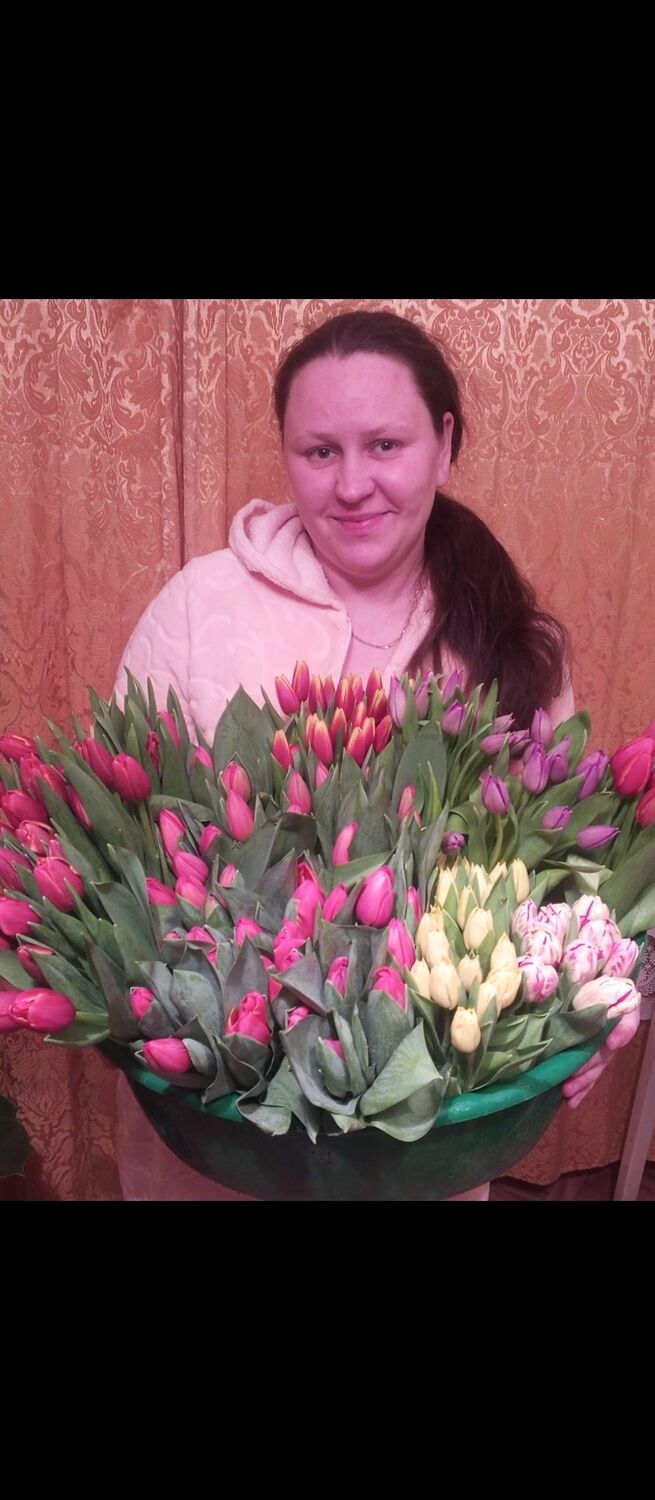  53516449  , 33 ,    -