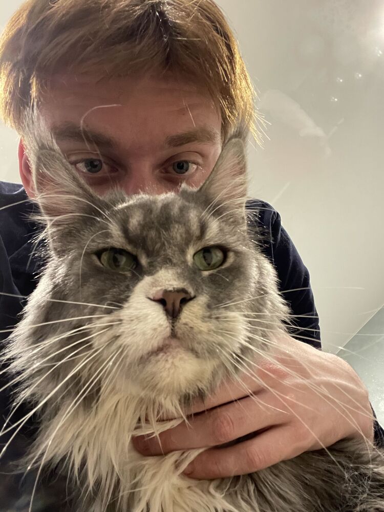  -,   , 22 ,   ,   