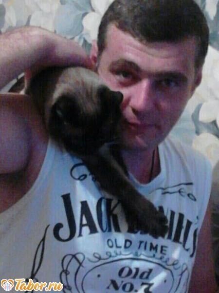 ���������� ������, ���� ������� �����, 40 ���, ������������ ��� c�������� ���������