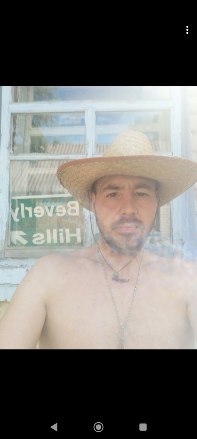  31539789  , 38 ,    