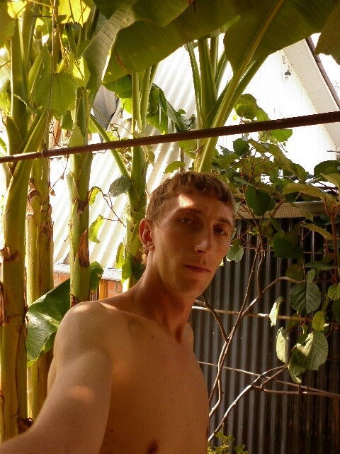 ���� 4272029 ������� ������, 43 ����, ���� ���������� � �������-��-����