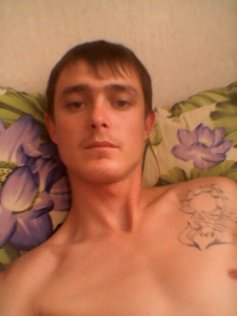  6544309  , 31 ,    -