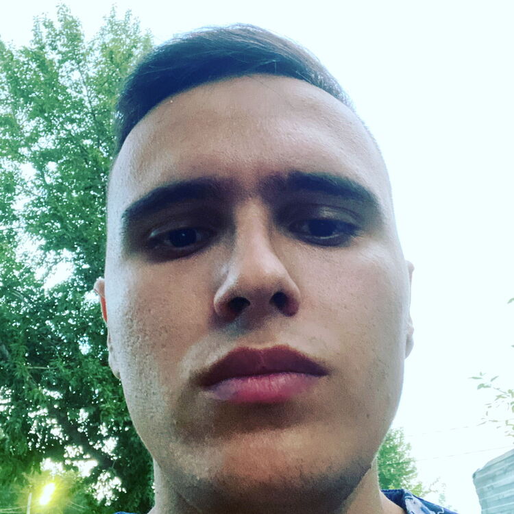  53487329  , 29 ,    -