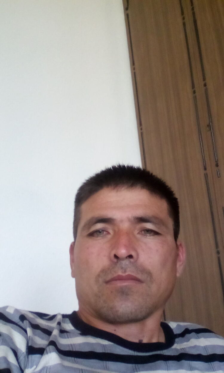  31910939  , 46 ,    