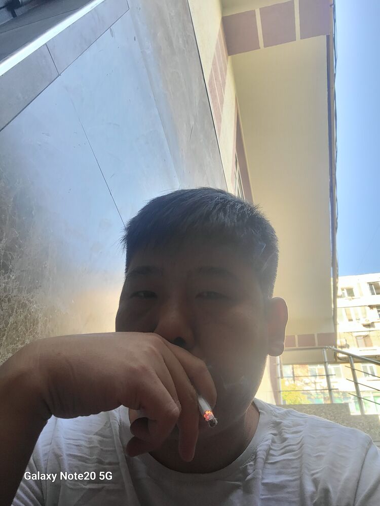  37977639  , 43 ,    