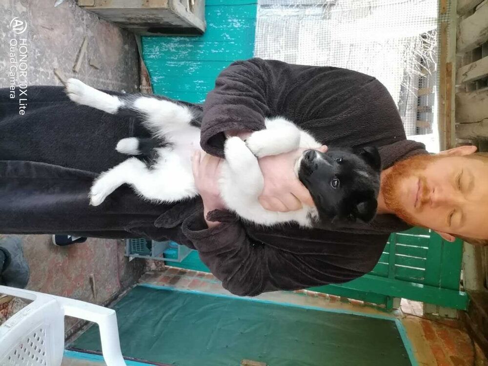  ,   , 61 ,   ,   