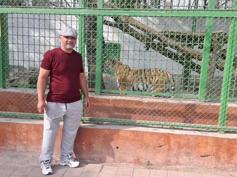 ���� 55770209 ������� �����, 41 ���, ���� ���������� � �������