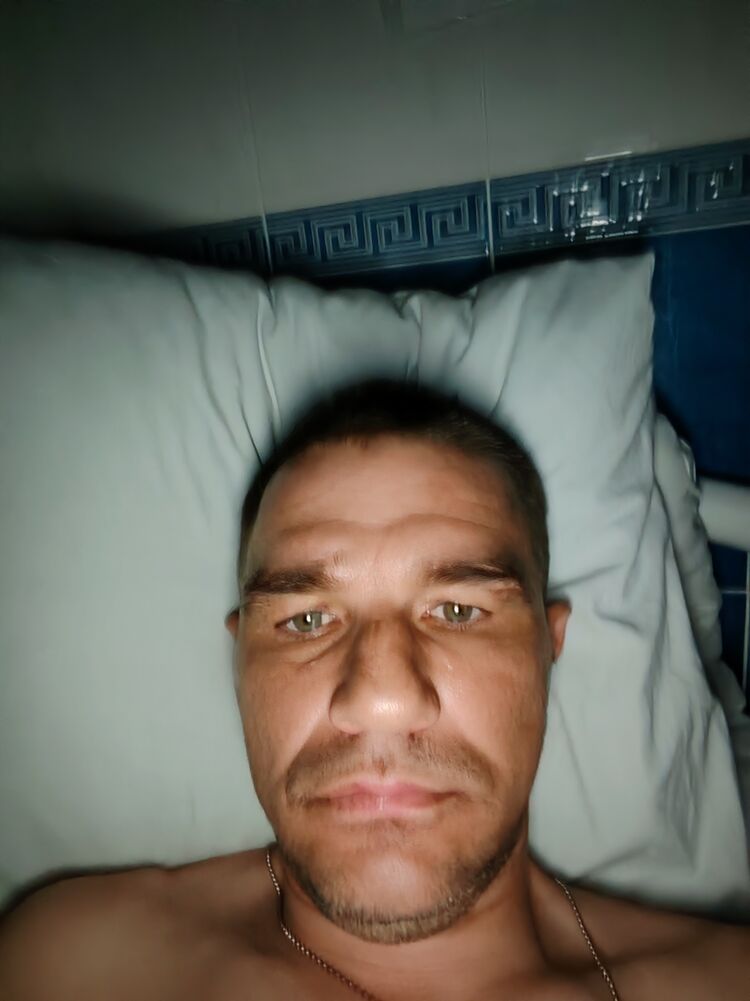  51833729  , 41 ,    