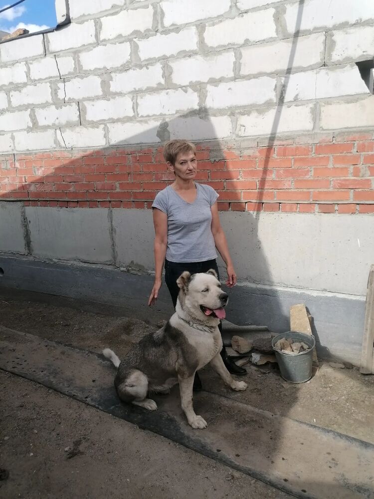 ,   , 56 ,   