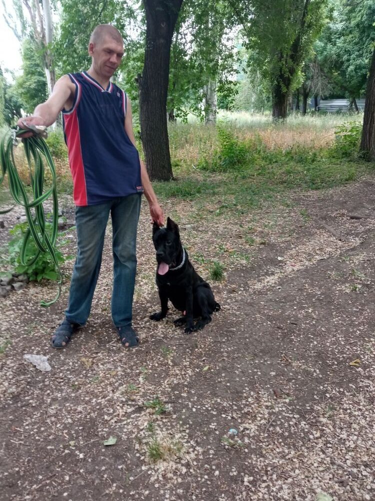 ���� 35654089 ������� �����, 41 ���, ���� ���������� � ������