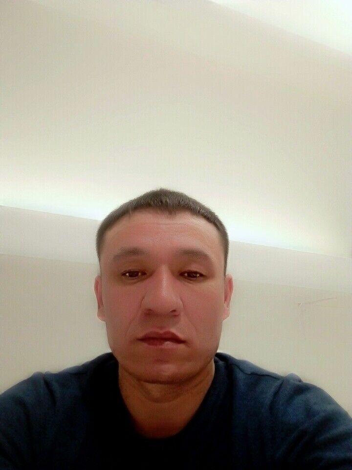  14628429  , 43 ,    
