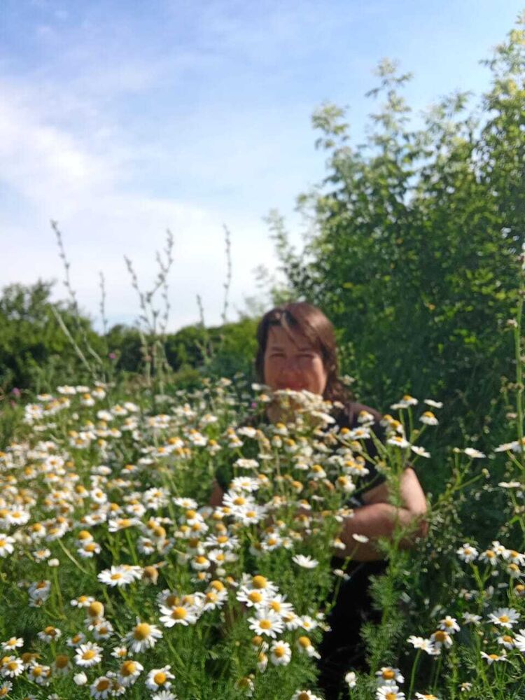 ���� 54431359 ������� ������, 47 ���, ���� ���������� � ���������