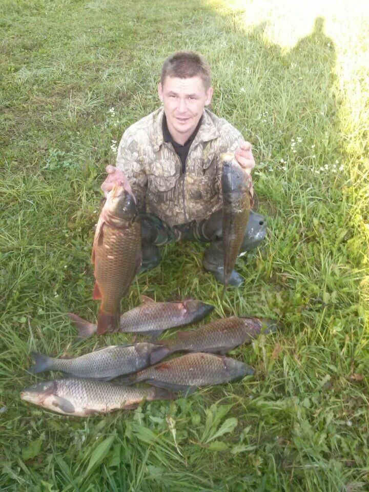 ���� 12796339 ������� �������, 49 ���, ���� ���������� � ������