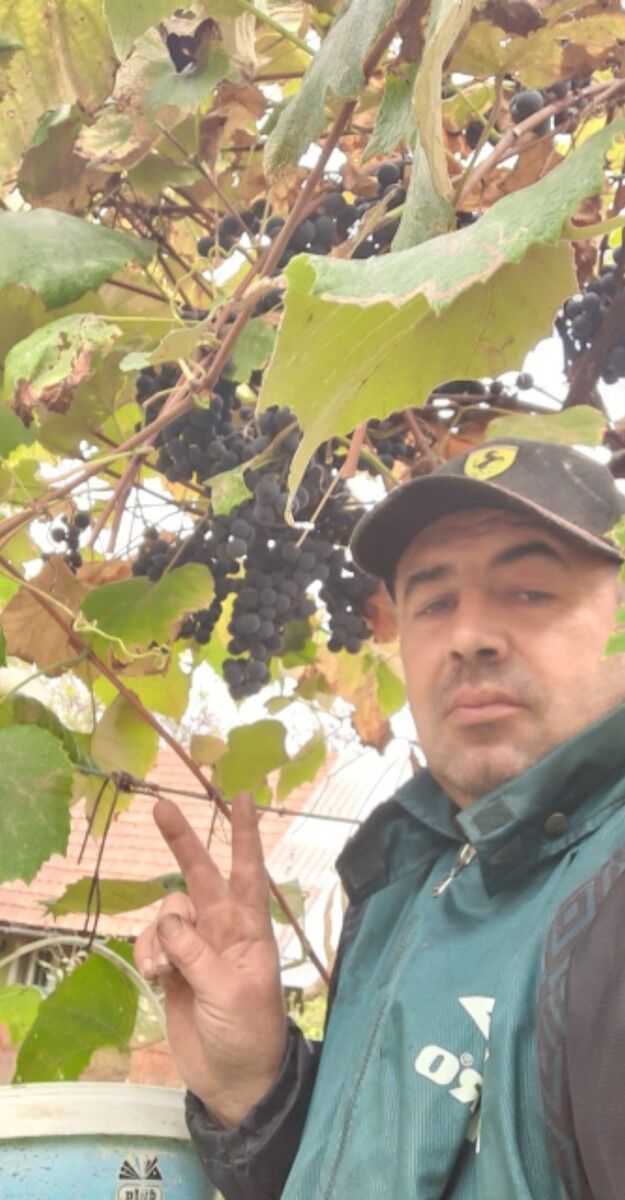 ���� 18784999 ������� ��������, 46 ���, ���� ���������� � ���������������