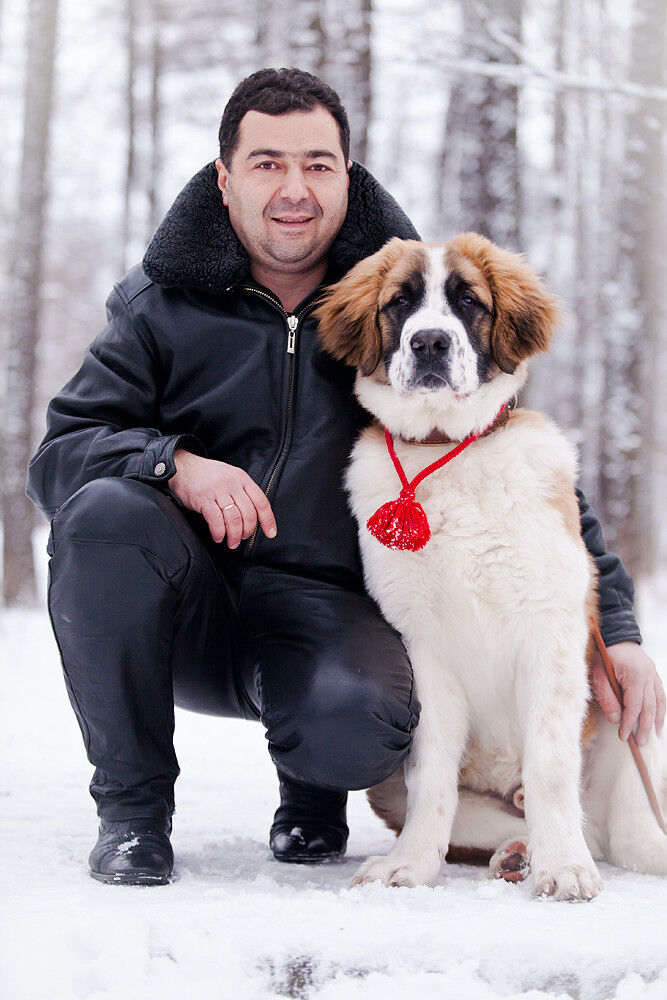 ���������� ������, ���� ������� �������, 50 ���, ������������ ��� ���������