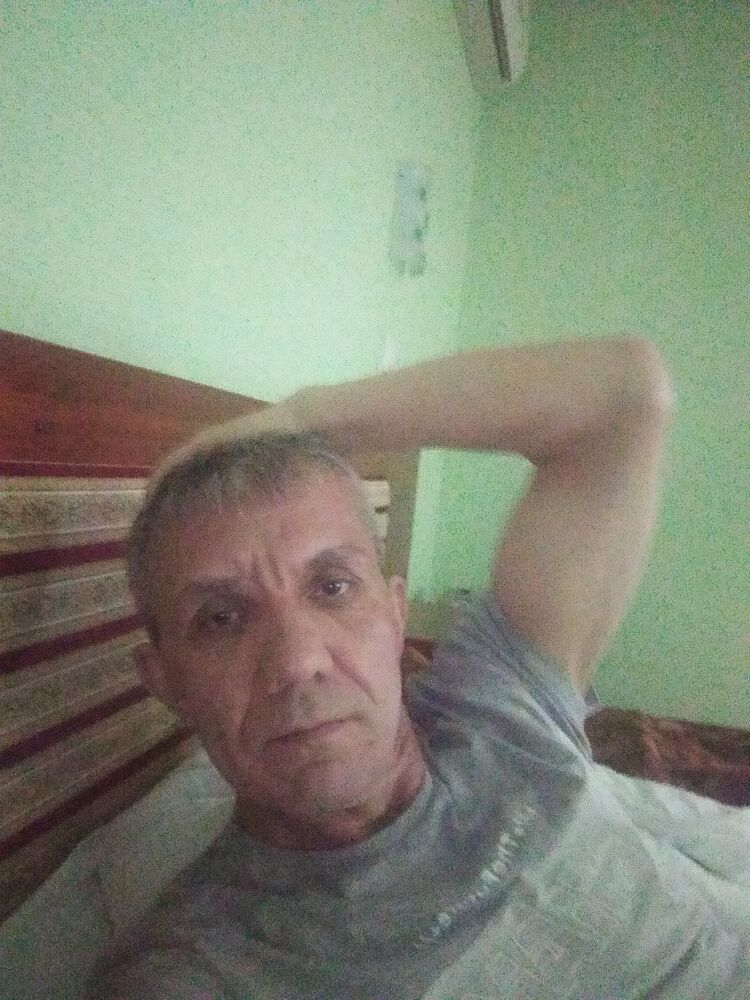  33684099  , 54 ,    