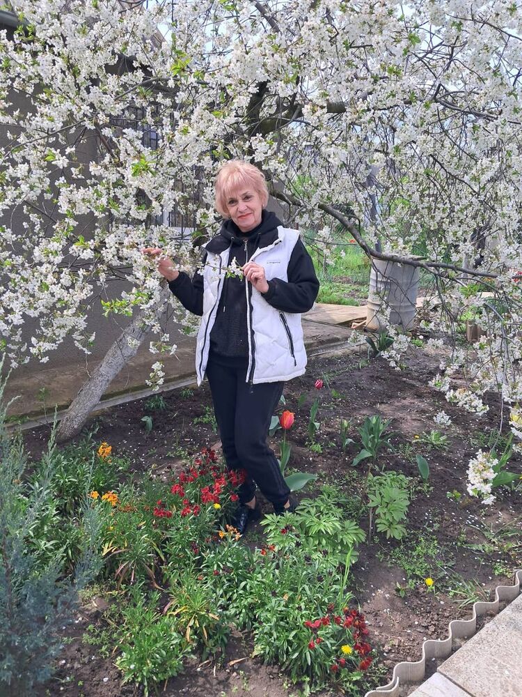 ���� 56115349 ������� �������, 52 ����, ���� ���������� � ���������