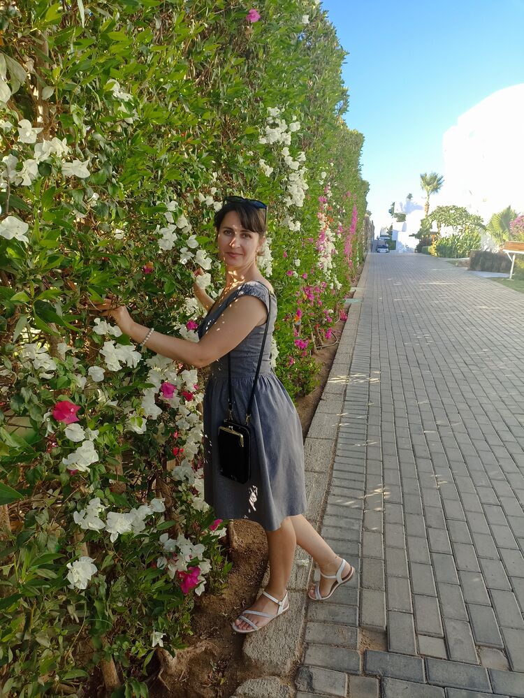  ,   , 43 ,   ,   
