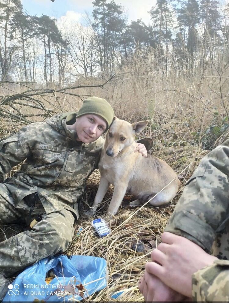 ���������� ��������, ���� ������� �������, 37 ���, ������������ ��� ������, ����� � ���������, c�������� ���������