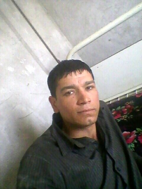  ,   Qilichmedia, 33 ,   
