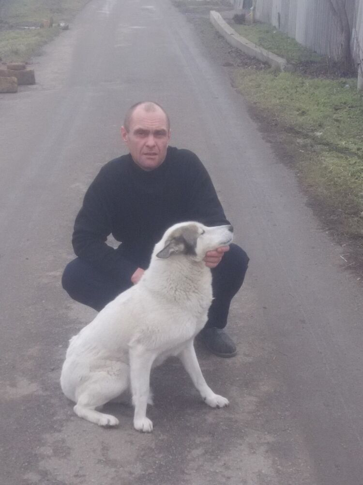 ���� 15012749 ������� �������, 48 ���, ���� ���������� � ������