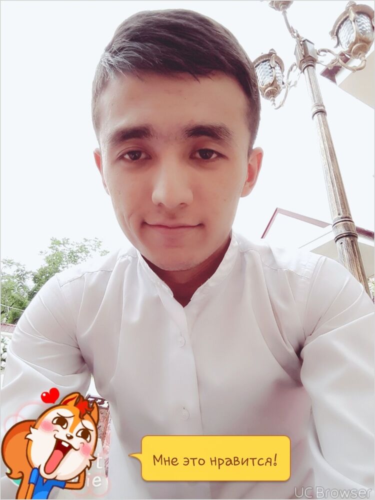  12397819  , 28 ,    