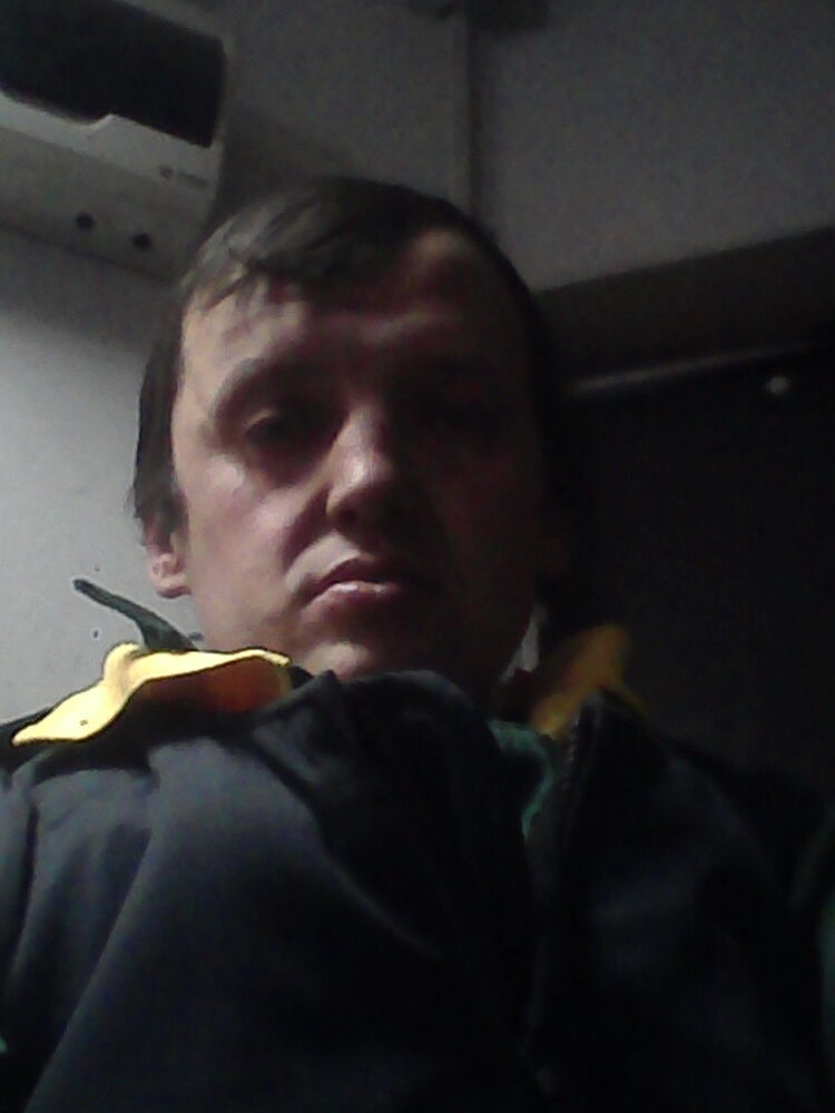 ���� 11353569 ������� ����, 42 ����, ���� ���������� � ��������