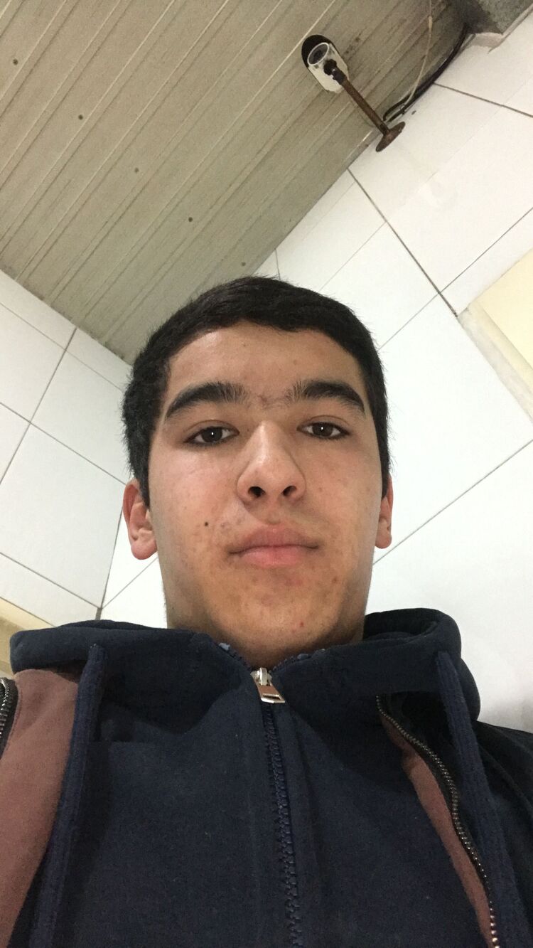  50731229  , 19 ,    