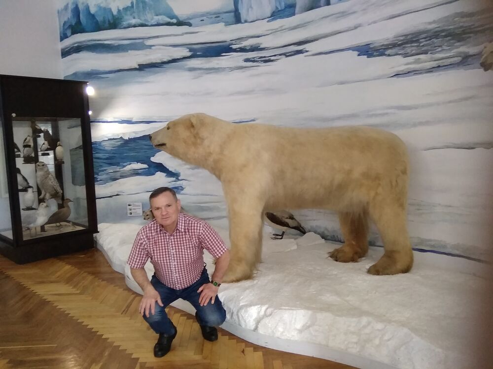  26735969  , 62 ,    -