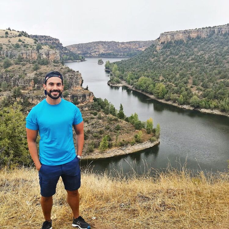 ���� 50313259 ������� �����, 36 ���, ���� ���������� � ������