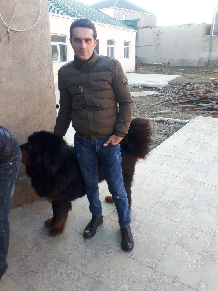  ,   Elnur, 38 ,   ,   , c 