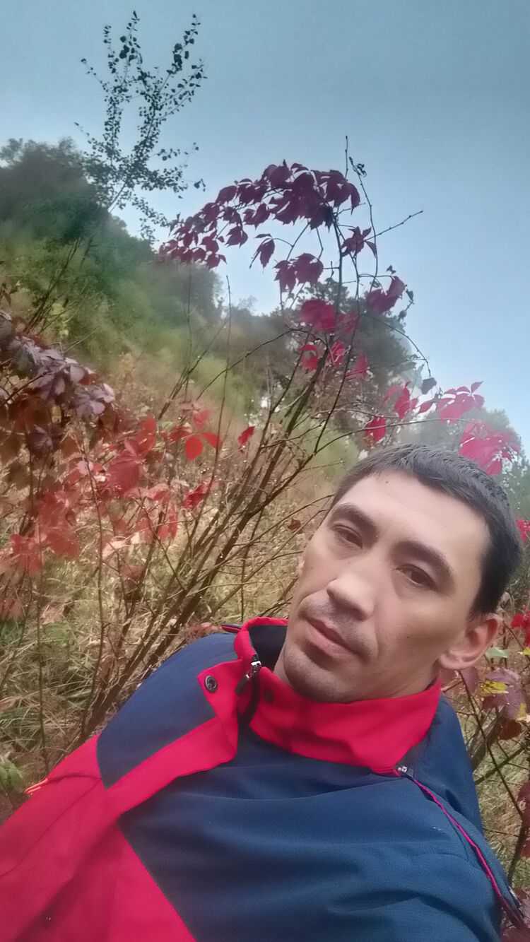  40805969  , 40 ,    