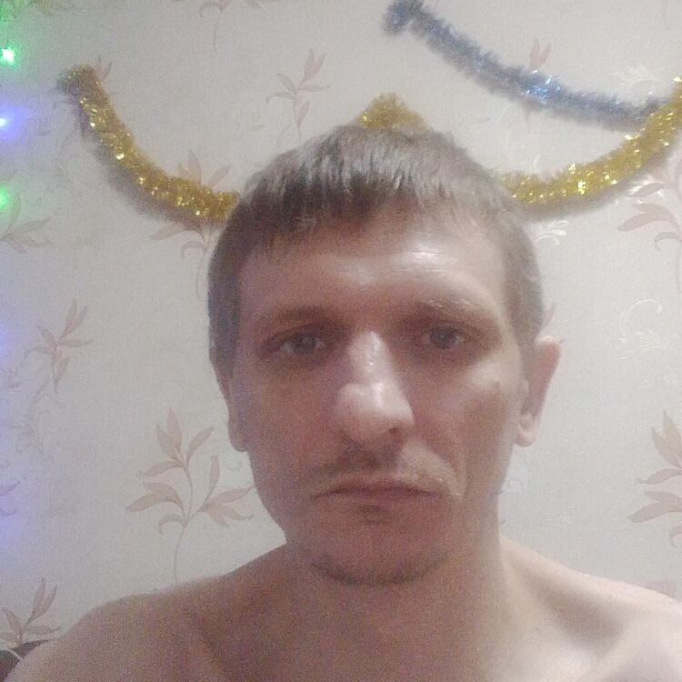 ���������� �����-���������, ���� ������� ������, 38 ���, ������������ ��� ����� � ���������, c�������� ���������