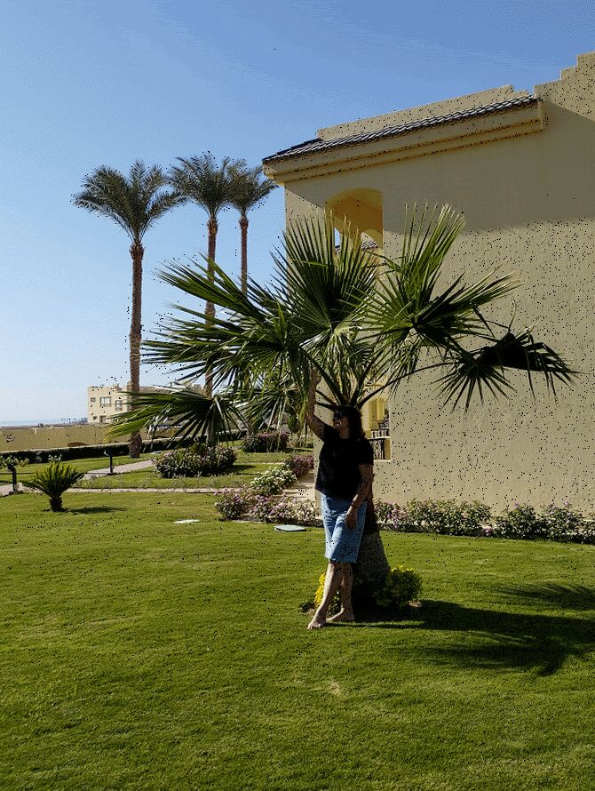 ���������� ����������, ���� ������� ����, 57 ���, ������������ ��� ������, ����� � ���������, c�������� ���������