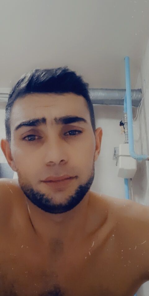  30638169  , 36 ,    