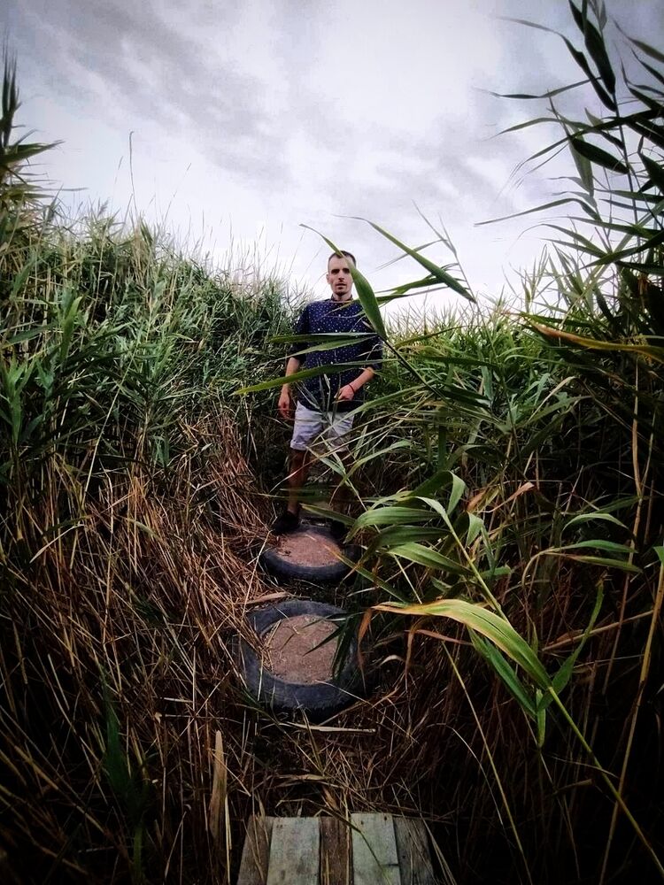 ���������� ������, ���� ������� �������, 29 ���, ������������ ��� ������, ����� � ���������