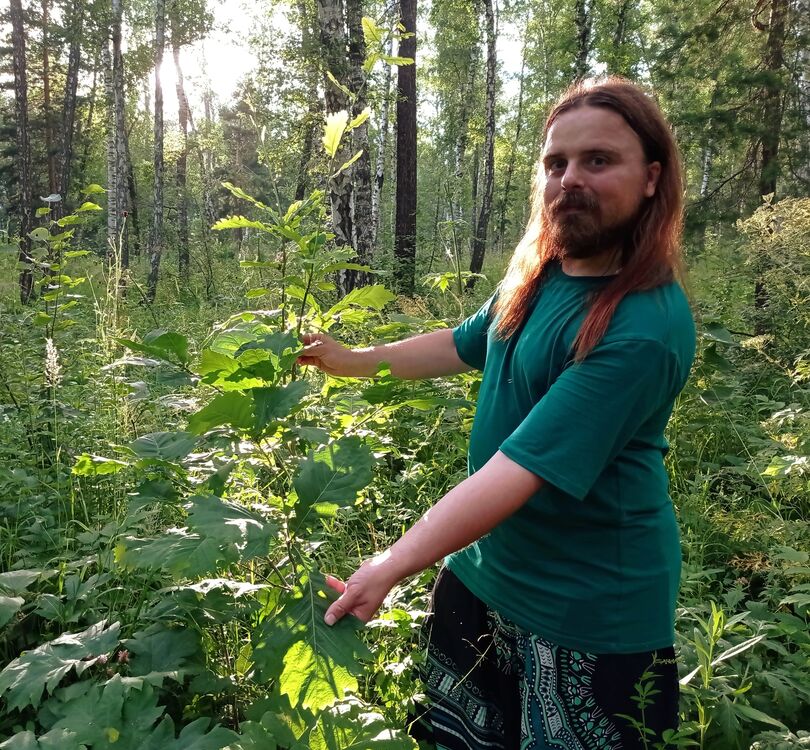 ���������� ����������, ���� ������� Elmo, 35 ���, ������������ ��� ������, ����� � ���������, c�������� ���������