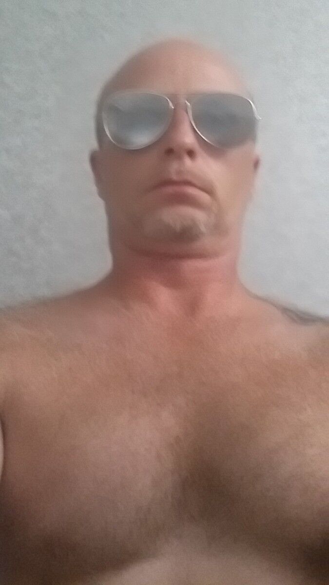  13441319  LAYKLISK, 49 ,    