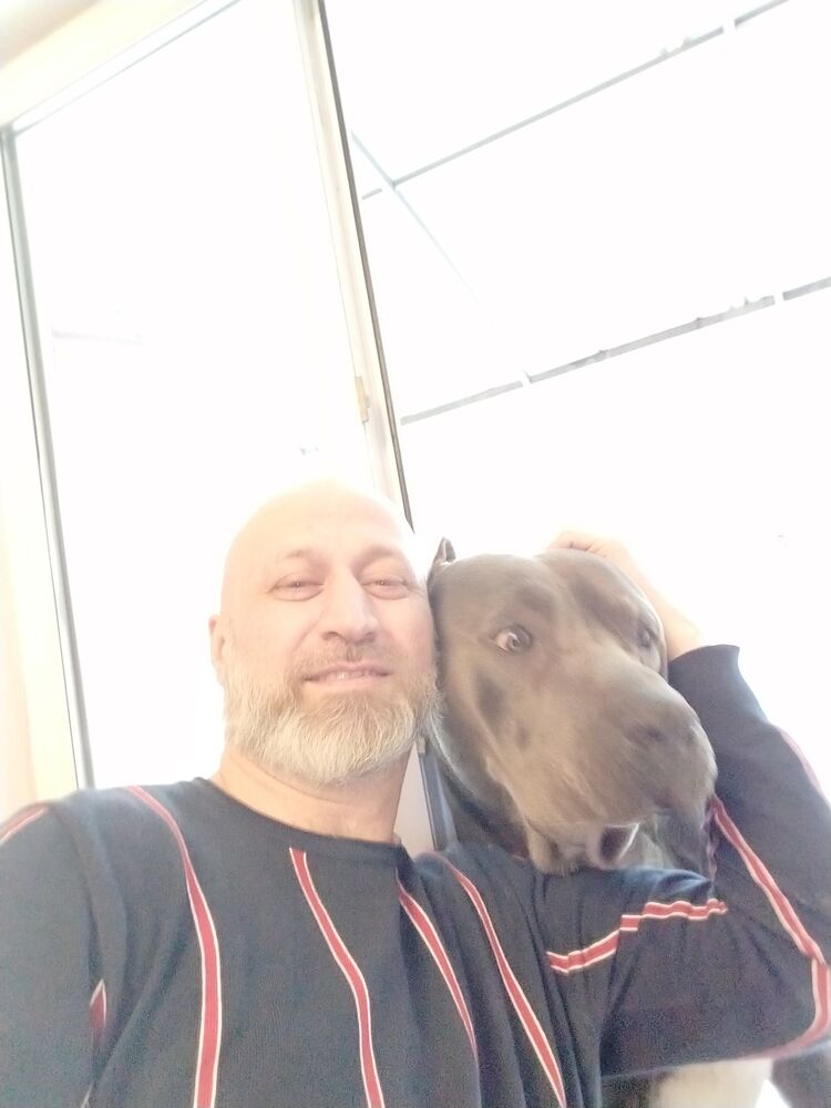 ���� 55432959 ������� ������, 40 ���, ���� ���������� � ������������