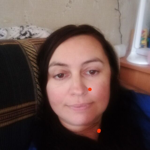  49557749  , 41 ,    -