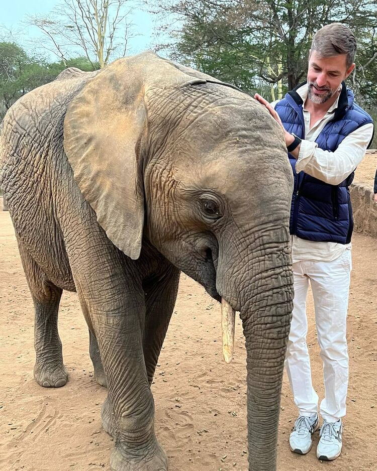 ���������� ������, ���� ������� ������, 41 ���, ������������ ��� ������, ����� � ���������, c�������� ���������, ���������