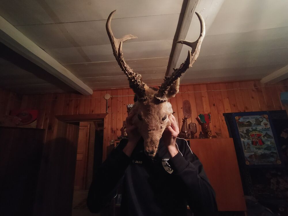 ���� 30490739 ������� ������, 36 ���, ���� ���������� � ������ ���������