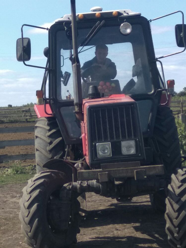 ���������� �����, ���� ������� ���, 35 ���, ������������ ��� ����� � ���������, c�������� ���������