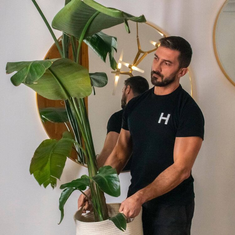 ���� 54537789 ������� ������, 32 ����, ���� ���������� � �������-��-����