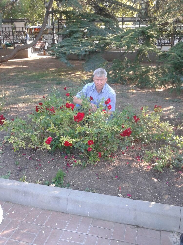 ���� 18469899 ������� ��������, 62 ����, ���� ���������� � �������