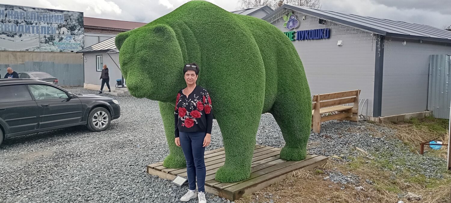  52587319  , 61 ,    -