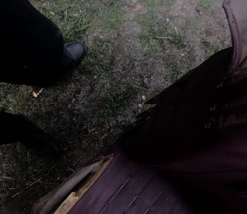  44316829  Davit, 19 ,    