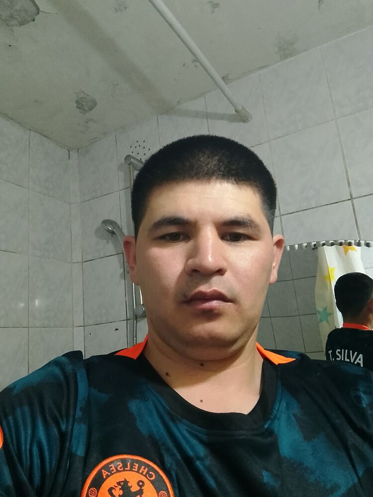  43457409  , 31 ,    